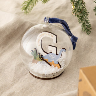 Dinosaur Initial First Christmas Bauble