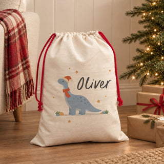Dinosaur First Christmas Boxed Gift Set